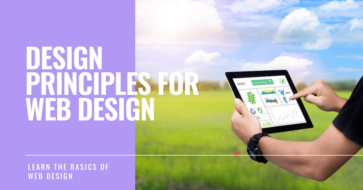 what-are-the-design-principles-to-start-a-web-design