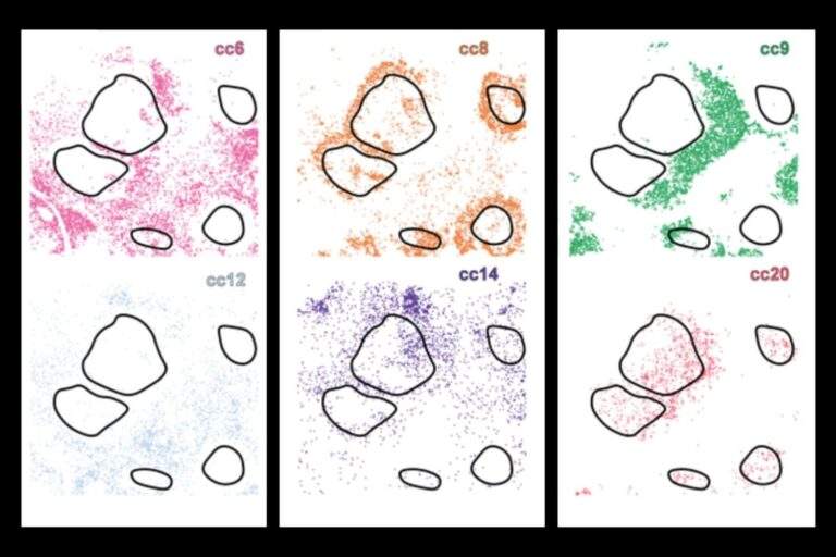 New AI system uncovers hidden cell subtypes, boosts precision medicine