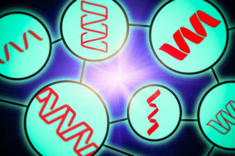 Researchers glimpse the inner workings of protein language models