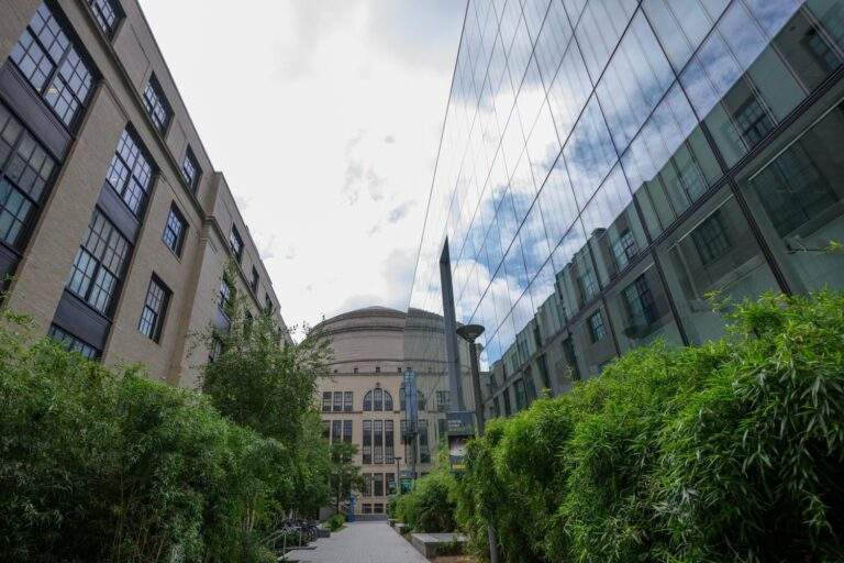 MIT Quantum Initiative launches postdoctoral fellowship program MIT Quantum Initiative launches postdoctoral fellowship program